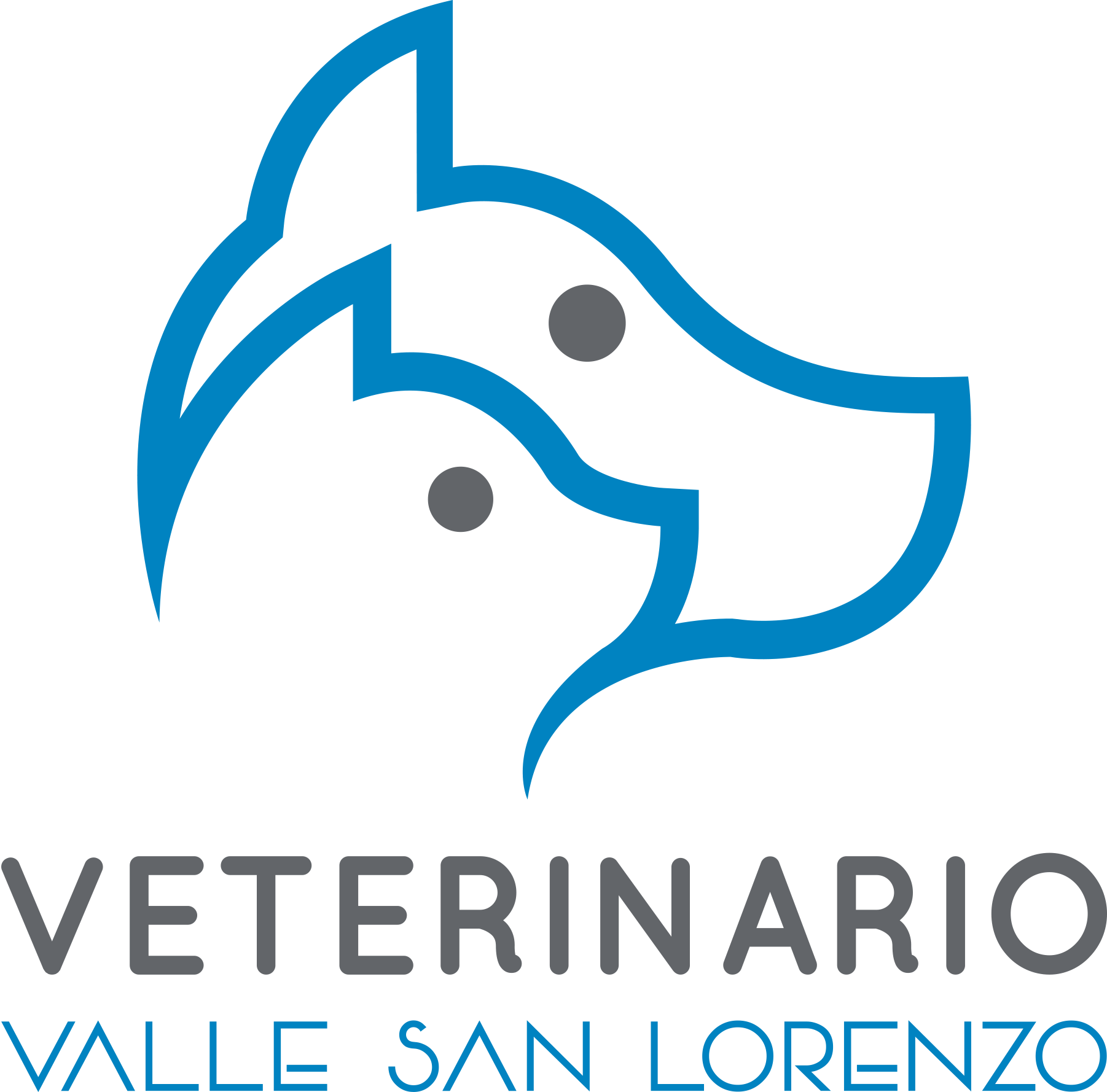 Veterinario Valle San Lorenzo